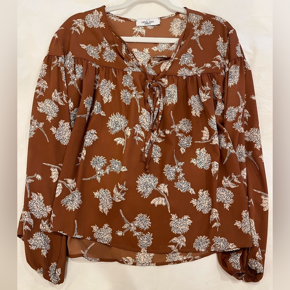 Beautiful fall Carly Jean Los Angeles top - Picture 2 of 4